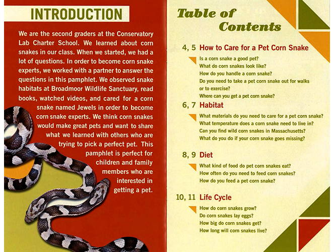 Wild Corn Snake Diets