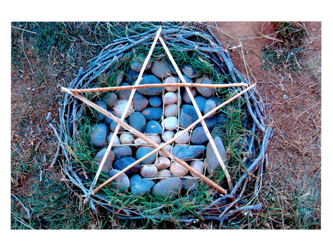 andy goldsworthy art