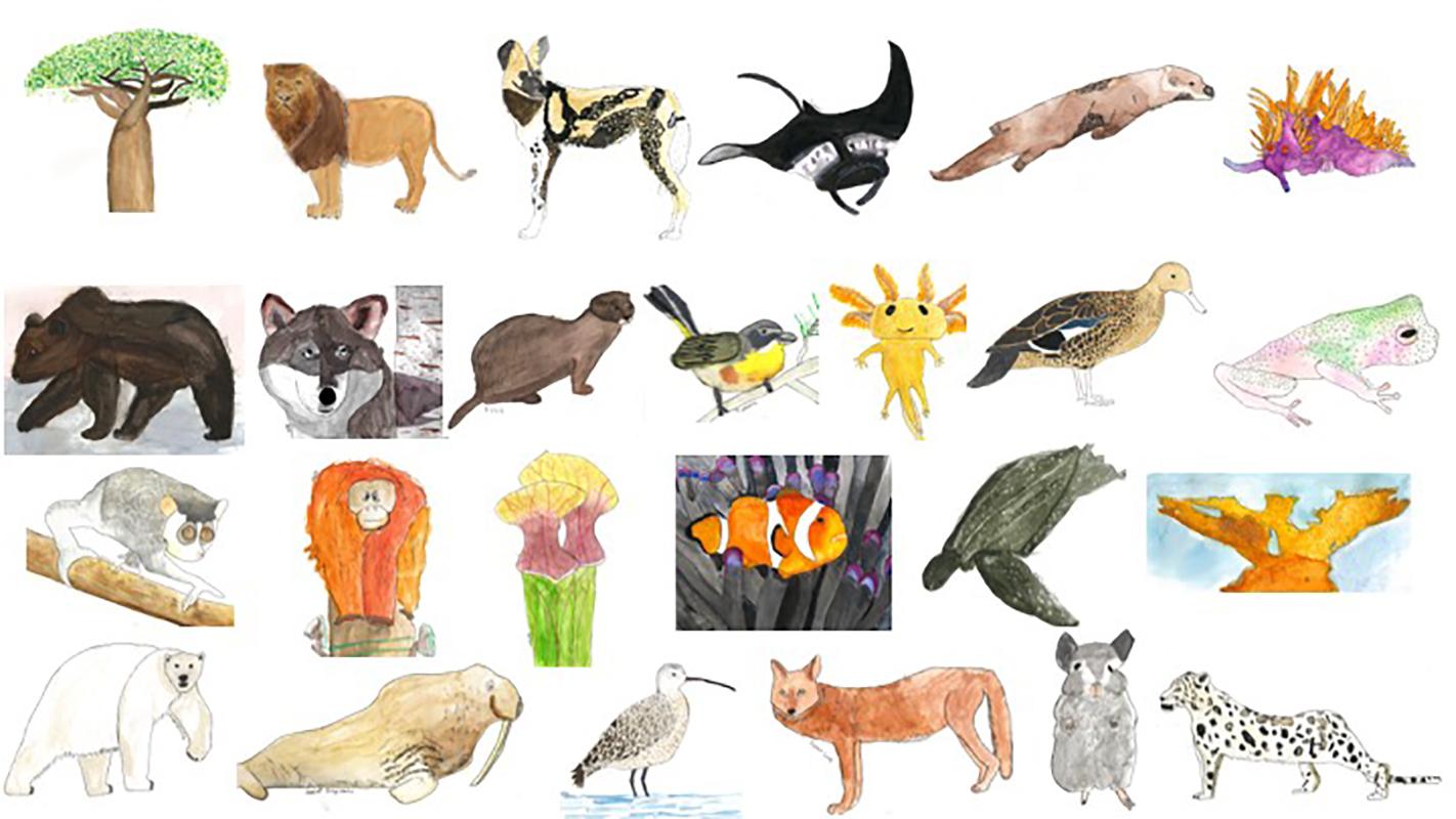 the sixth great extinction book the sixth great extinction book