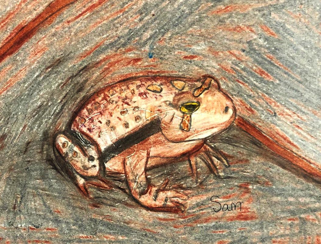Freaky Frogs of West Virginia